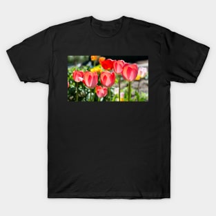 Red Tulips in the garden T-Shirt